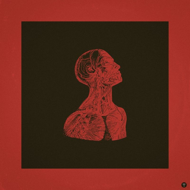 Surmoi — Studio Takuya