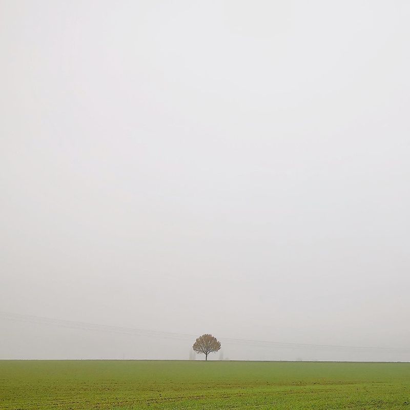 Marne plaine — Studio Takuya