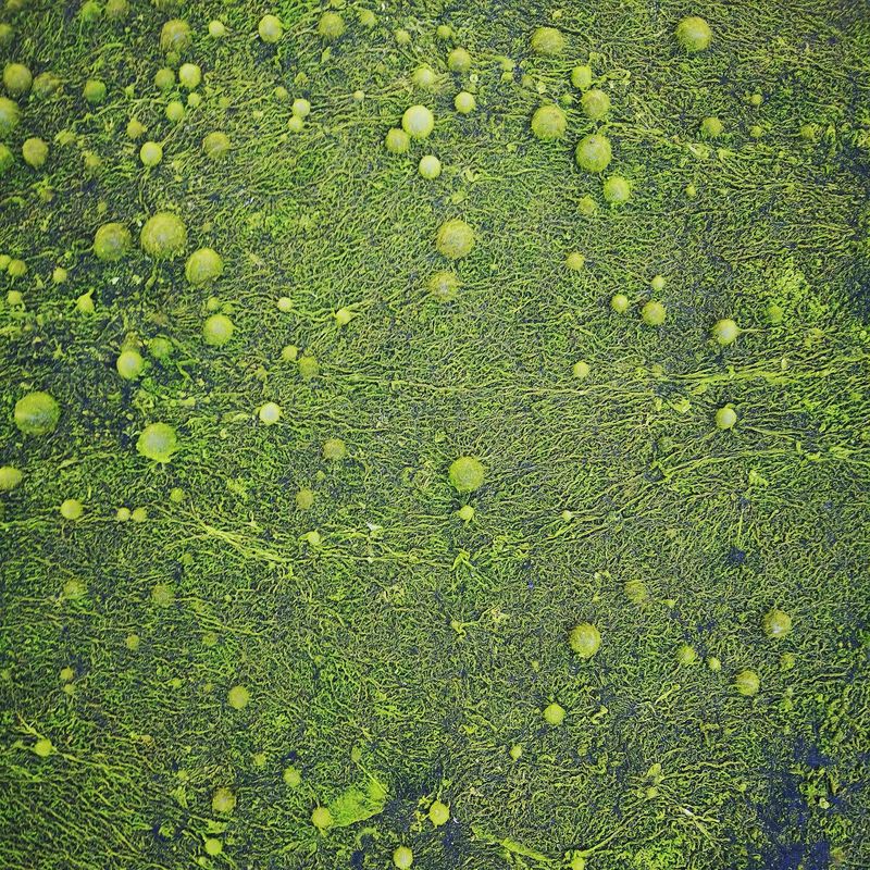 Spring Eggs &mdash; Studio Takuya