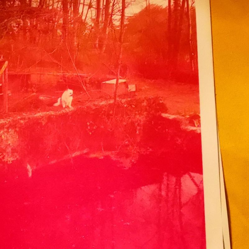 State of the union — Studio Takuya