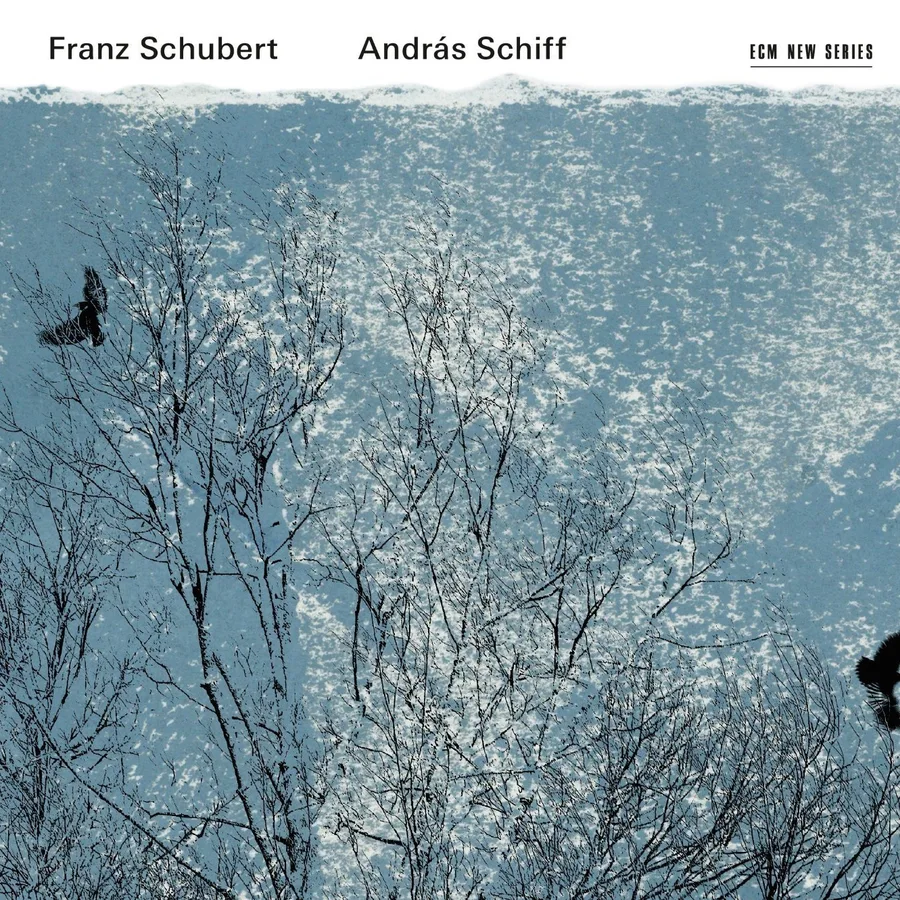 András Schiff joue Franz Schubert — ECM New Series, photographie de branches d'arbres en hiver avec deux corbeaux en vol